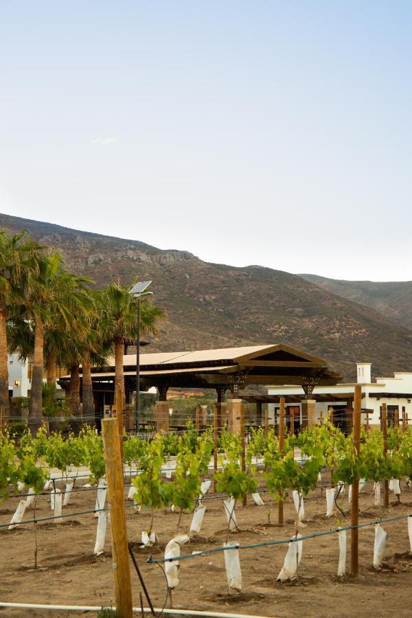 Limbo Hotel Boutique Valle de Guadalupe Kültér fotó